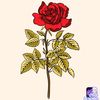 userkhanhhung1989