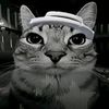 tez_558