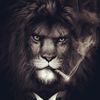 crown_72kral
