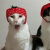 omniopsy