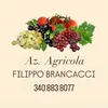 filippobrancacci
