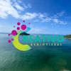 creativomazzmzt