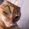 n_oia