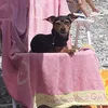 giovannaegiuseppe02