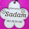 cvecarasadam