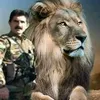 mahir_brifki