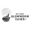 Waitomo Glowworm Caves