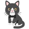 catmemeilovemyputer