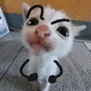 kairxnyy