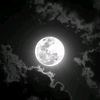 rany.fattom