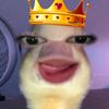 telurcceplokk