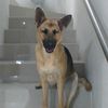 hernan_flores0
