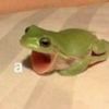 greendn
