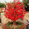 mdjahidhassan5908