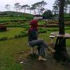 buga_mawar01