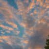 stiv_545