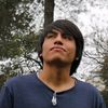 toallin01
