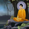 Minh Tuệ