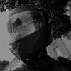 stev_8282