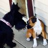 bonnieandbessie