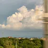 md131569