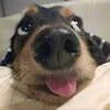cutieeeeeqqqqq