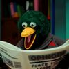 atemybirds