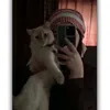 sukoon_e_qalb6