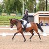 hmh.dressage