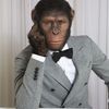 thedestinedmonkey