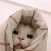 hikoridiyuuu