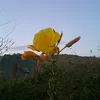 m.xx092