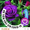 hien56747