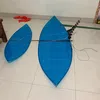 _dieusaothainguyen1