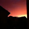 anniedarkrain