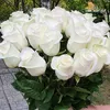 galinagrecu959