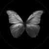 a.naln