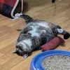 isoogabaa
