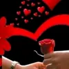 user8391602781445