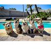charlies_water_funpark