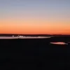 andrsmtsnz