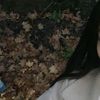 chichounettee2