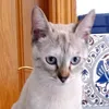 jaime199771