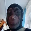 11kenchik11