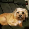 jrtheboss070