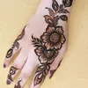 rawanerawane17