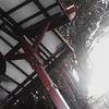 xxcvgxz