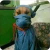 pawneegoddess32
