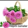 cansucansu1234