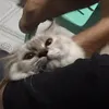 wiissddooooom